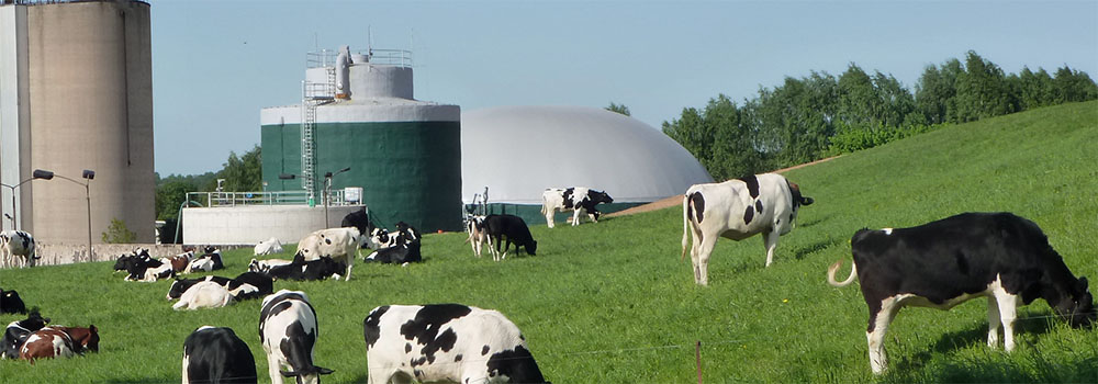 Agrarunternehmen Lauenhain e.G.